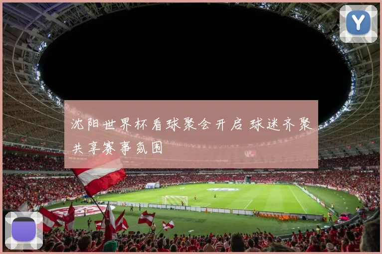 沈阳世界杯看球聚会开启 球迷齐聚共享赛事氛围